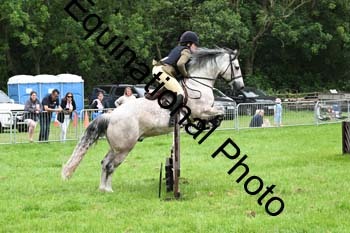EPM-2011