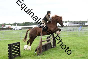 EPM-2193
