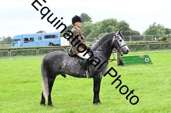 EPM-2341