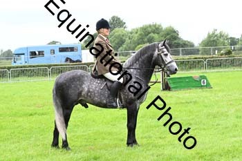 EPM-2342