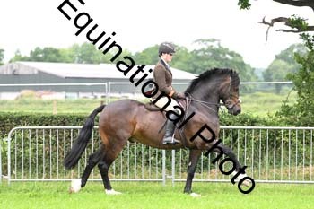 EPM-2353