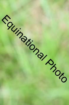 EPM-2361