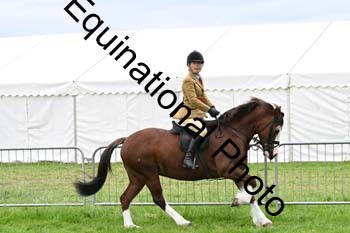 EPM-2376
