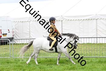 EPM-2380