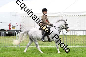 EPM-2385