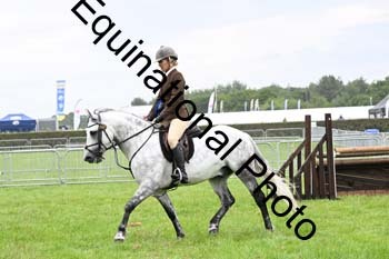 EPM-2394