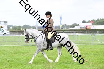 EPM-2404