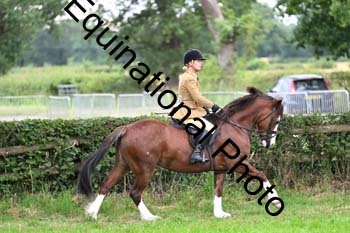 EPM-2444