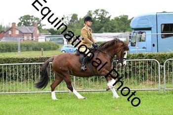 EPM-2448