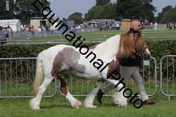 FON-1501