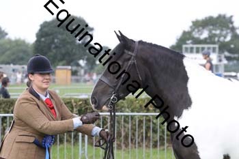 FON-1950