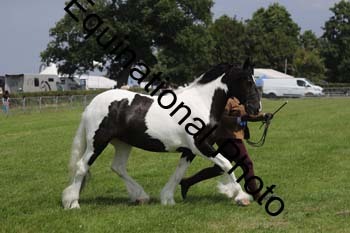 FON-2027