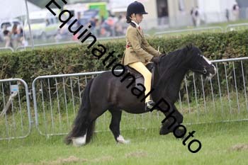 FON-2162