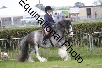 FON-2167