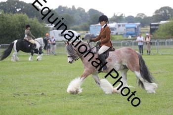 FON-2188