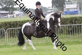 FON-2778