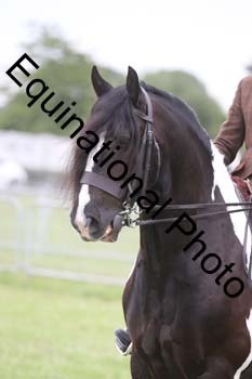 FON-3018