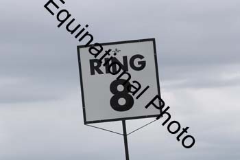 FON-3105