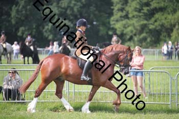 CVE-1309