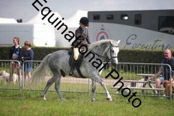 CVE-1349