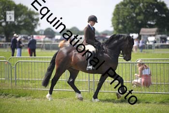 CVE-1409