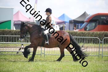 CVE-1490