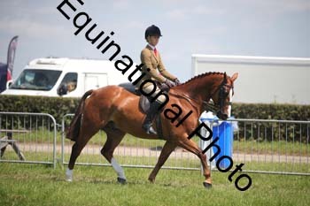 CVE-1910
