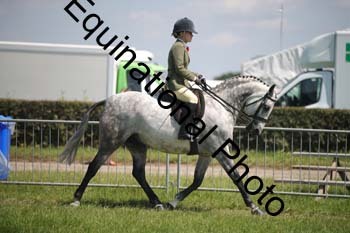 CVE-1914