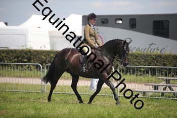 CVE-1921