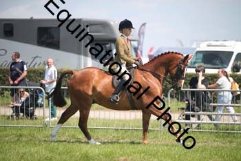 CVE-1944