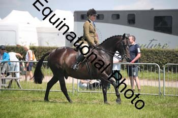 CVE-1953