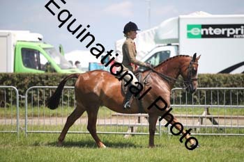 CVE-2011