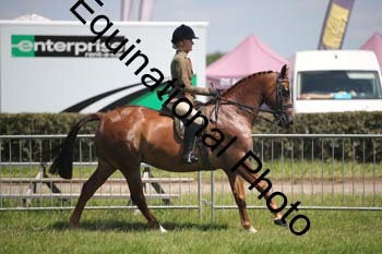 CVE-2012