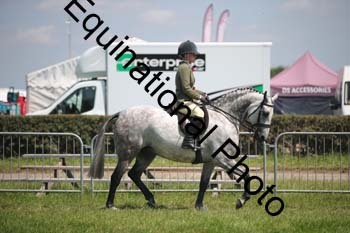 CVE-2022