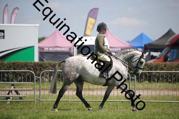 CVE-2023