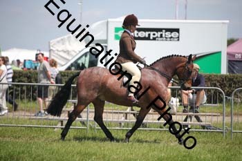 CVE-2054