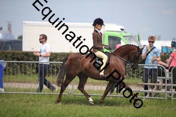 CVE-2224