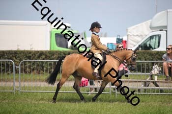 CVE-2236