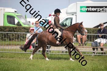 CVE-2244