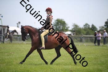 CVE-2266