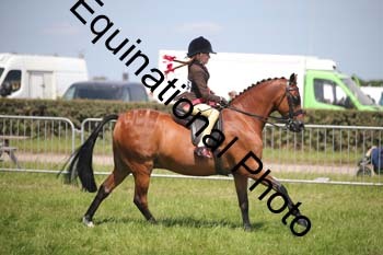 CVE-2339