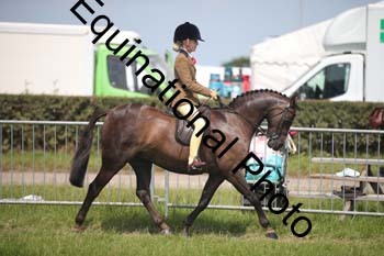 CVE-2380