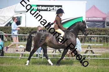 CVE-2397