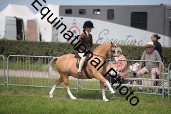 CVE-2428