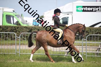 CVE-2431
