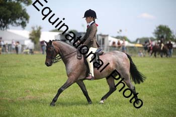CVE-2445