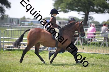 CVE-2794