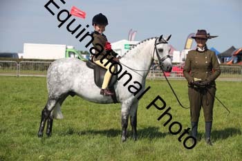 CVE-2895