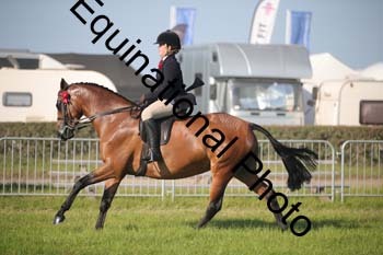CVE-2999