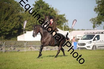 CVE-3080